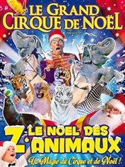 Le Grand Cirque de Noël de Abbeville | - Le Noël des z'animaux Chapiteau Medrano  Abbeville Affiche
