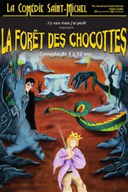 La forêt des chocottes La Comdie Saint Michel - grande salle Affiche