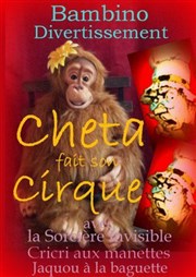 Cheta fait son cirque La Boite  Rire Affiche