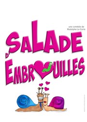 Salade d'embrouilles Comdie de Grenoble Affiche