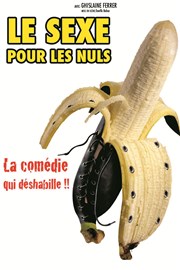 Le sexe pour les nuls Comdie La Rochelle Affiche