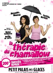 La thérapie du chamallow | Les dernières Petit Palais des Glaces Affiche
