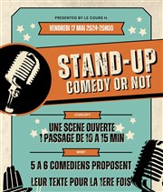 Stand Up Comedy or Not Thtre Le Cours H. Affiche