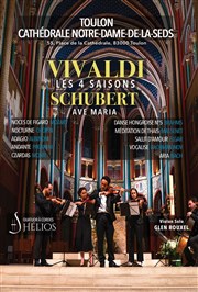 Les 4 Saisons de Vivaldi, Ave Maria et Célèbres Adagios | Toulon Cathdrale Notre Dame de la Seds Affiche