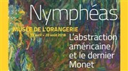 Visite guidée d'exposition: Nymphéas, L'abstraction américaine et le dernier Monet | - par Caroline Bujeau Muse de l'Orangerie Affiche