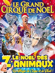Le Grand Cirque de Noël de Maubeuge | - Le Noël des z'animaux Chapiteau Medrano  Maubeuge Affiche