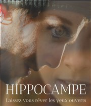 Hippocampe Thtre Divadlo Affiche