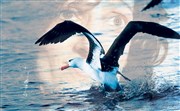 L'Albatros Le Trianon Affiche
