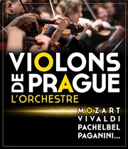 Violons de Prague | Dijon Cathdrale Sainte Benigne Affiche
