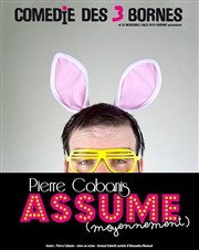 Pierre Cabanis dans Pierre Cabanis assume (moyennement) Comdie des 3 Bornes Affiche