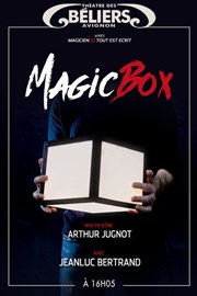 Magic Box Le Thtre des Bliers Affiche