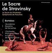 Le Sacre de Stravinsky La Seine Musicale - Grande Seine Affiche