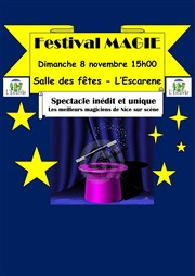 Festival de magie Salle des ftes de l'Escarne Affiche
