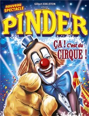 Cirque Pinder dans Ça c'est du cirque ! | - Albertville Chapiteau Pinder  Albertville Affiche