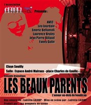 Les Beaux-parents - L'amour au-delà du handicap Espace Andr Malraux Affiche