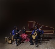 Le Trio à Cordes Pincées de Paris : Musique classique et sud-américaine La Boite  gants Affiche