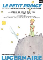 Le Petit Prince Thtre Le Lucernaire Affiche