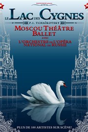 Le Lac des Cygnes - Moscou Théâtre Ballet Le Dme de Marseille Affiche