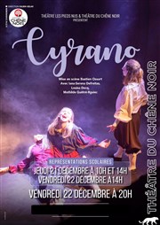 Cyrano Thtre du Chne Noir - Salle Lo Ferr Affiche