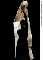 Carolyn Carlson : Density 21.5 / Dialogue with Rothko Chaillot - Thtre National de la Danse / Salle Jean Vilar Affiche