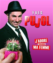 Yves Pujol dans J'adore ma femme Espace Cathare Affiche