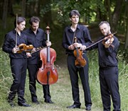 Quatuor Béla - Pattar, Schubert Thtre Antoine Watteau Affiche