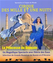 Les mille et une nuits - La princesse du Bengale Chapiteau Affiche