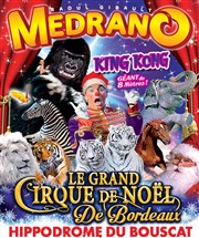 Medrano, le Grand Cirque de Noël | à Bordeaux Chapiteau Mdrano  Bordeaux Affiche