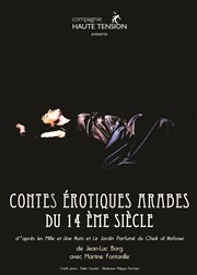 Contes érotiques arabes du 14ème siècle Comdie La Rochelle Affiche