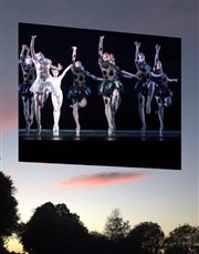 Les Ballets de Monte-Carlo & Jean-Christophe Maillot | Le Songe Chaillot - Thtre National de la Danse / Salle Jean Vilar Affiche