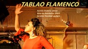 Tablao flamenco Au Chat Noir Affiche