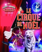 Cirque de Noël 2016 Chapiteau du Cirque Alexis & Anargul Gruss  Saint Jean de Braye Affiche