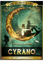 Cyrano Thtre du Chne Noir - Salle Lo Ferr Affiche
