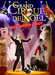 Le grand cirque de Noël de Caroline Marx Antars Affiche