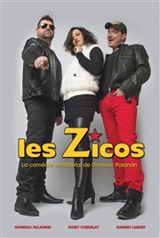 Les Zicos : Dans l'intimité d'un groupe de rock Thtre Comdie Odon Affiche