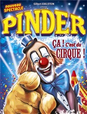 Cirque Pinder dans Ça c'est du cirque ! | - Châtellerault Chapiteau Pinder  Chtellerault Affiche