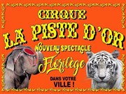 Le Cirque La Piste d'or dans Florilège Chapiteau des Merveilles Affiche