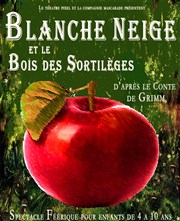 Blanche Neige et le Bois des Sortilèges Thtre Pixel Affiche