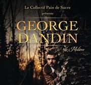 George Dandin de Molière Thtre de Nesle - grande salle Affiche