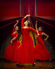 Les jeunes talents du Flamenco Le Trianon Affiche