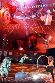Journée au cirque : la merveilleuse histoire du cirque Chapiteau Esprit de Cirque Affiche
