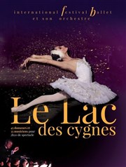 Le Lac des Cygnes | Saint Herblain Le Znith Nantes Mtropole Affiche