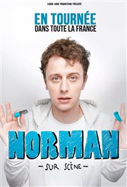 Norman dans Sur Scène Znith Arena de Lille Affiche