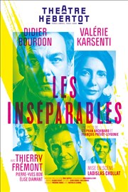 Les Inséparables | avec Didier Bourdon Thtre Hbertot Affiche
