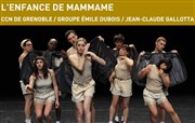 L'Enfance de Mammame Auditorium de Vaucluse Jean Moulin Affiche