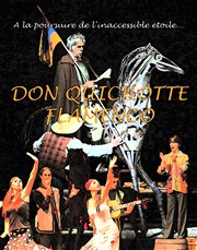 Don Quichotte Flamenco Thtre Romain Philippe Lotard Affiche