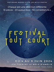 Festival Tout Court Thtre Le Mlo D'Amlie Affiche