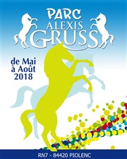 Parc Alexis Gruss 2018 Le Parc du Cirque National Alexis Gruss Affiche