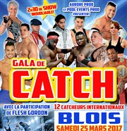 Gala de catch Palais des sports de Blois Affiche