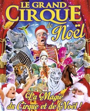 Le Grand Cirque de Noël à Villeneuve d'Ascq Chapiteau Le Grand cirque de Saint Petersbourg  Villeneuve d'Ascq Affiche